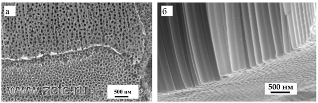 СЭМ-изображения поверхности трубчатого слоя (а) и поперечного слома (б) НТАОТ